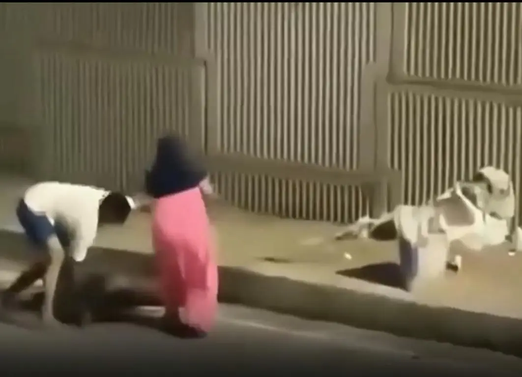 Article image 1